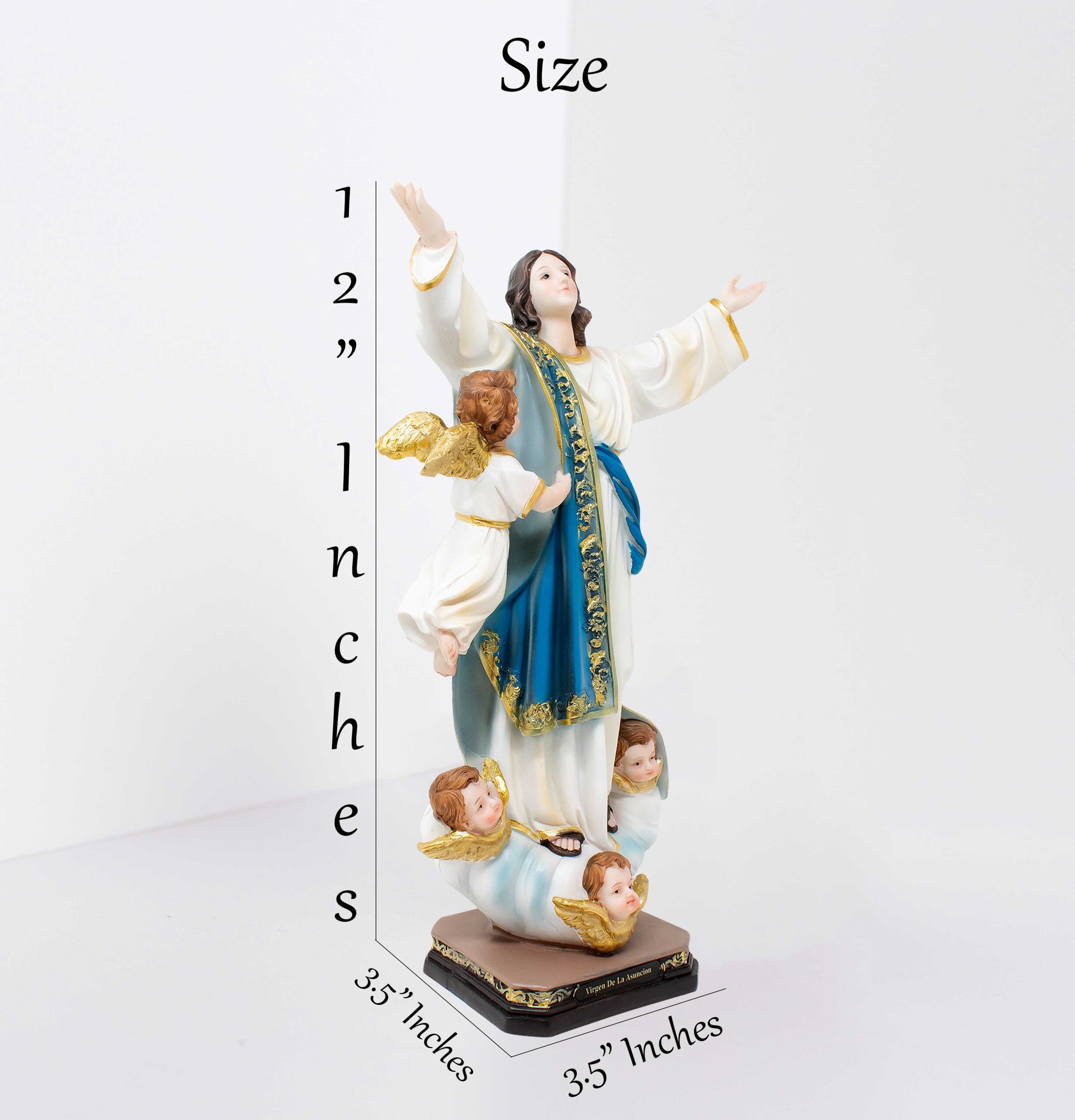 MrcjSales - Virgin of the Assumption Statue | Resin Religious Icon | Multiple Sizes | Church Decor, Home Altars | Spanish Name | Elegant & Detailed